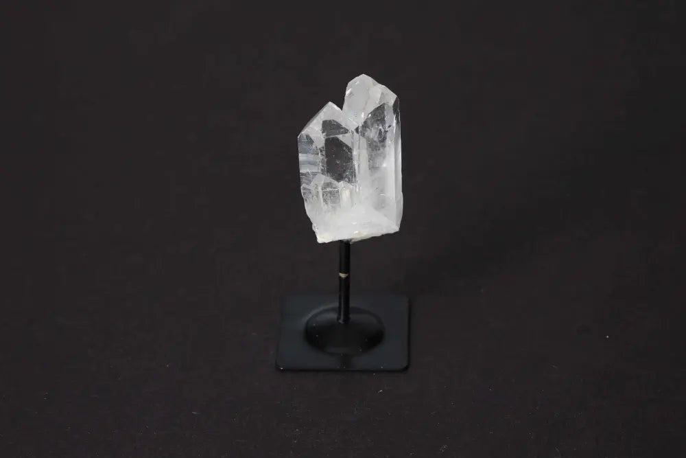 orbitvu|type:image2d