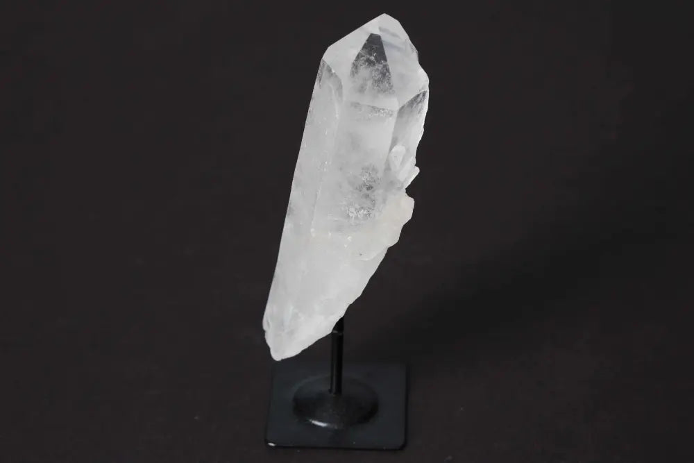 orbitvu|type:image2d