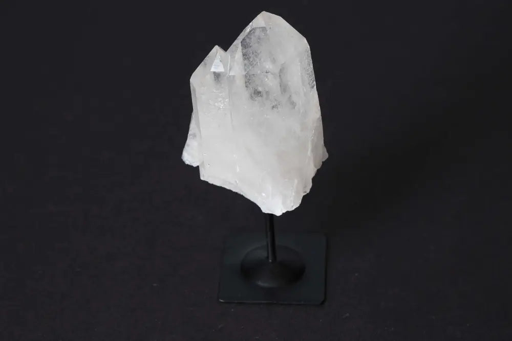 orbitvu|type:image2d