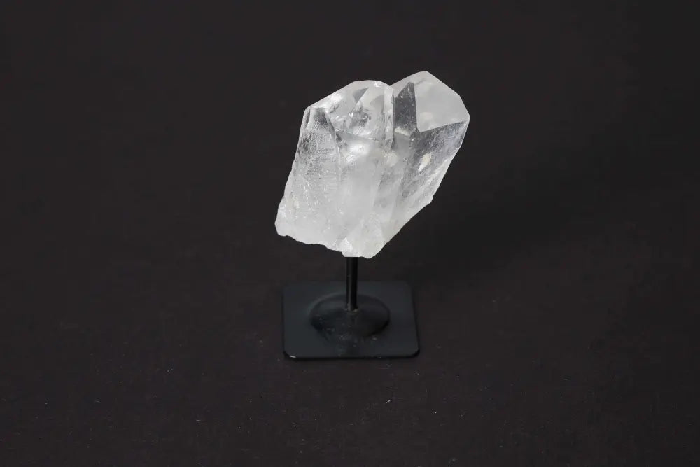 orbitvu|type:image2d