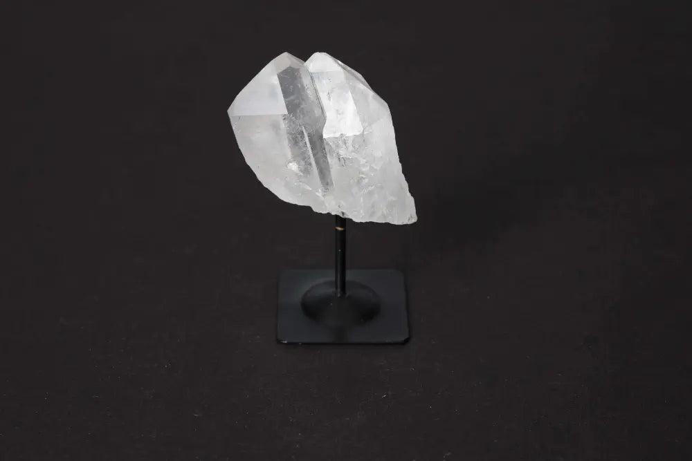 orbitvu|type:image2d