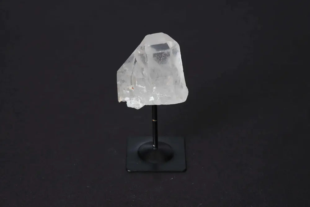 orbitvu|type:image2d