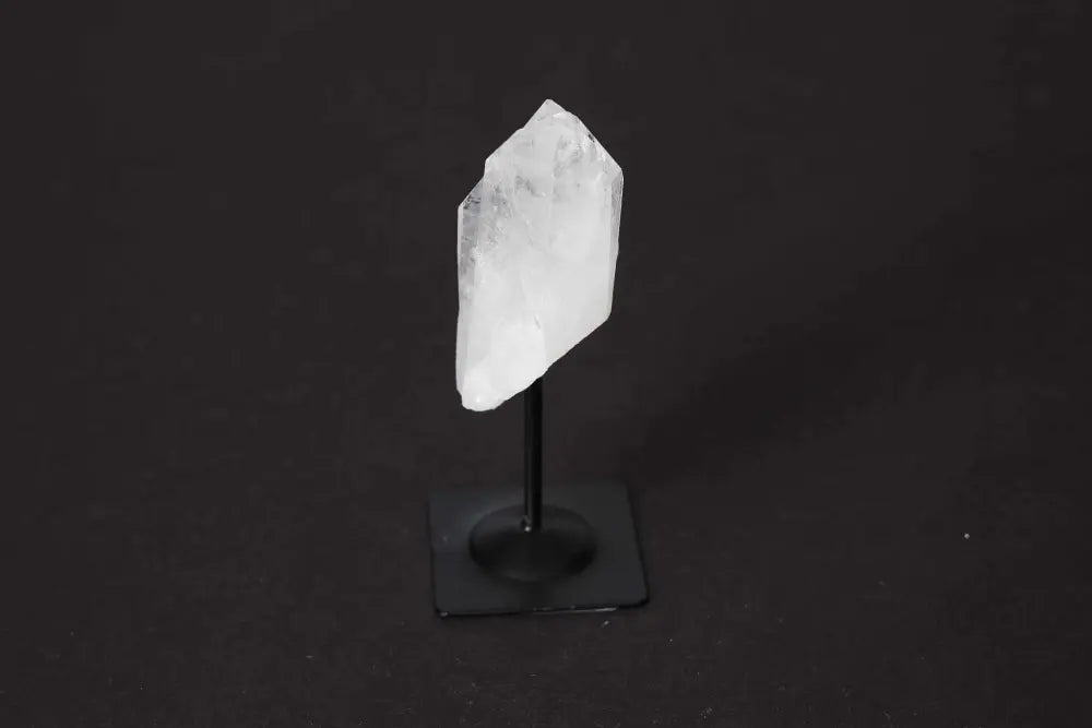 orbitvu|type:image2d