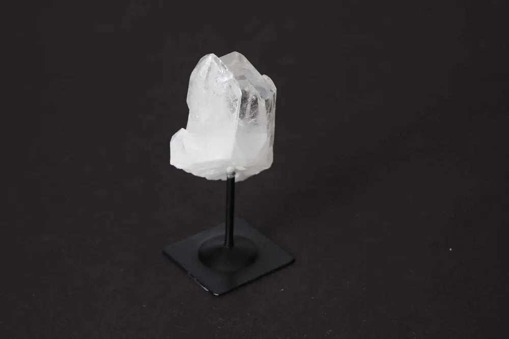 orbitvu|type:image2d