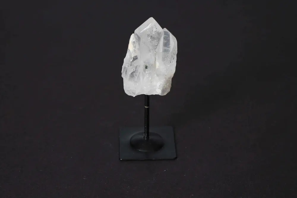 orbitvu|type:image2d