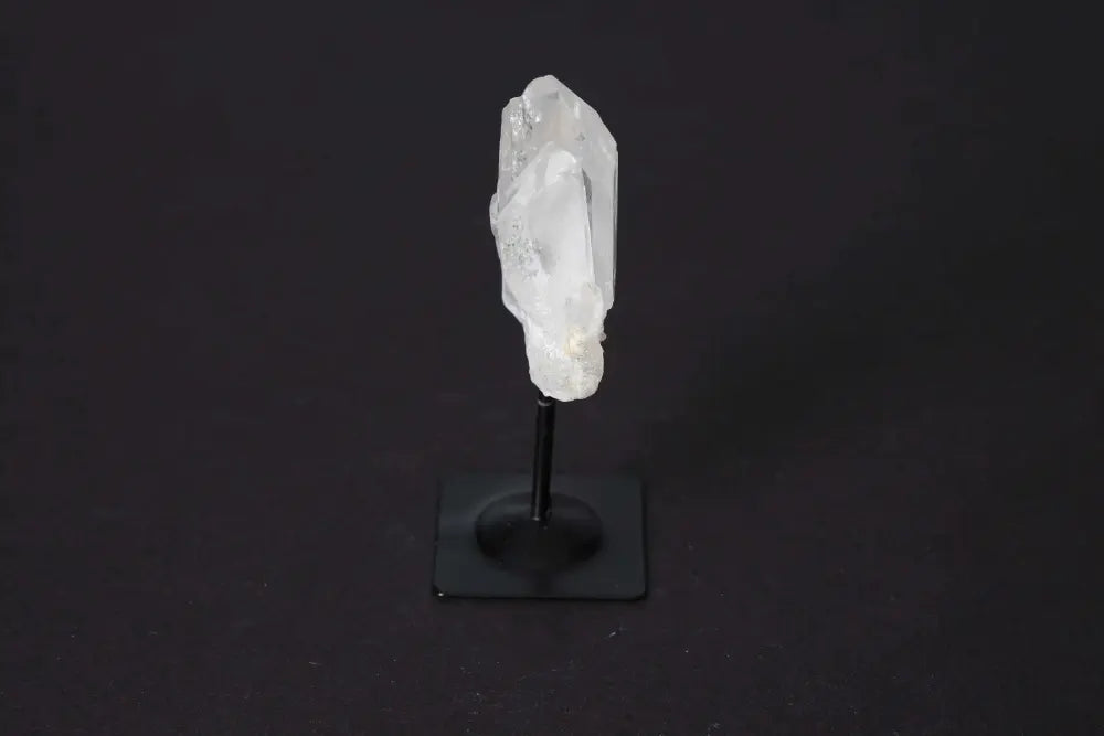 orbitvu|type:image2d