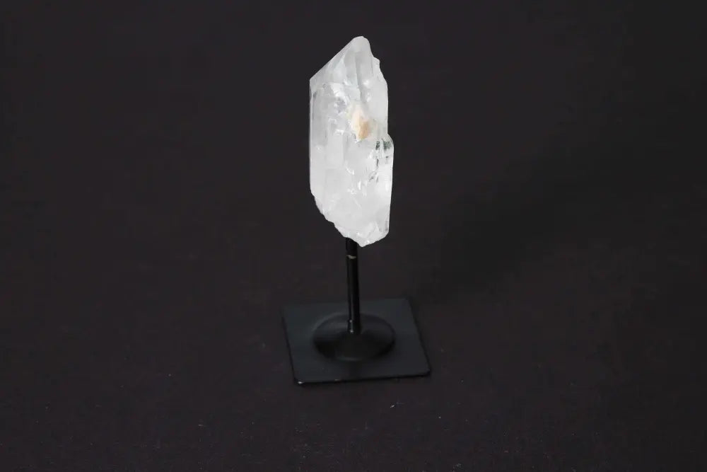 orbitvu|type:image2d