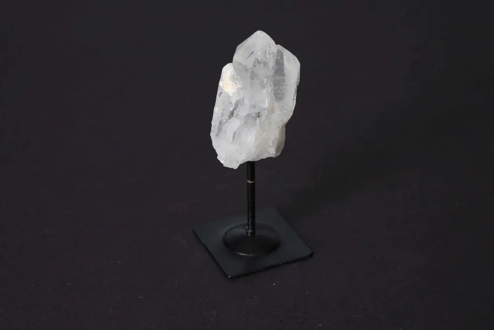 orbitvu|type:image2d