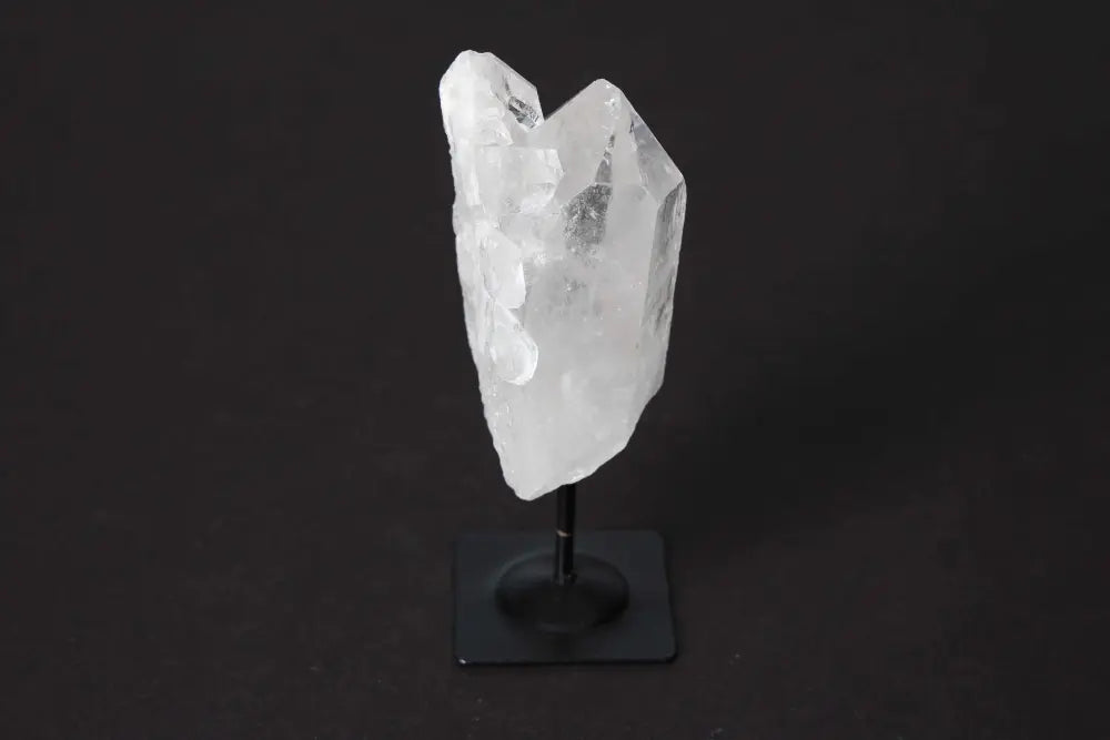 orbitvu|type:image2d