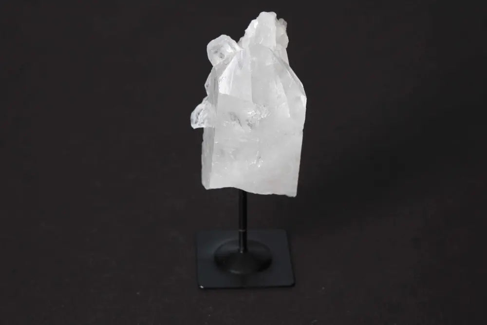 orbitvu|type:image2d