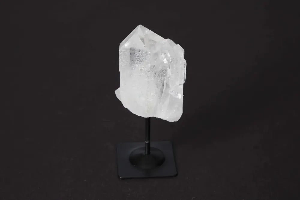 orbitvu|type:image2d