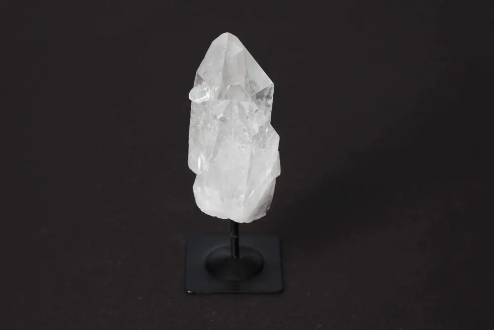 orbitvu|type:image2d