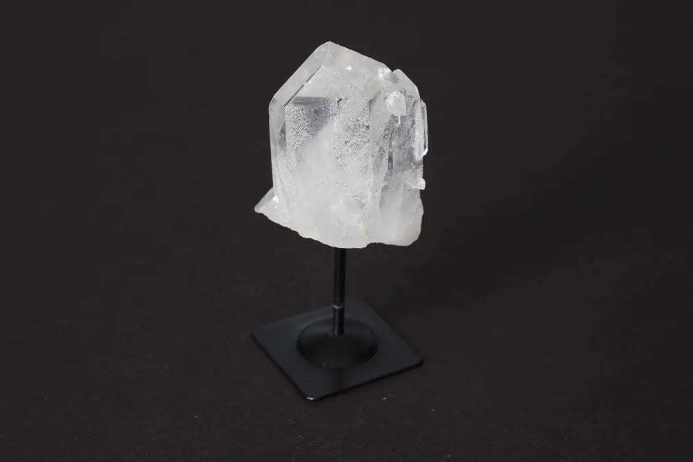 orbitvu|type:image2d