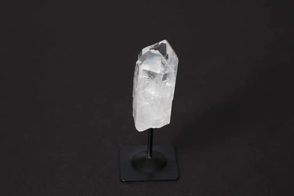 orbitvu|type:image2d