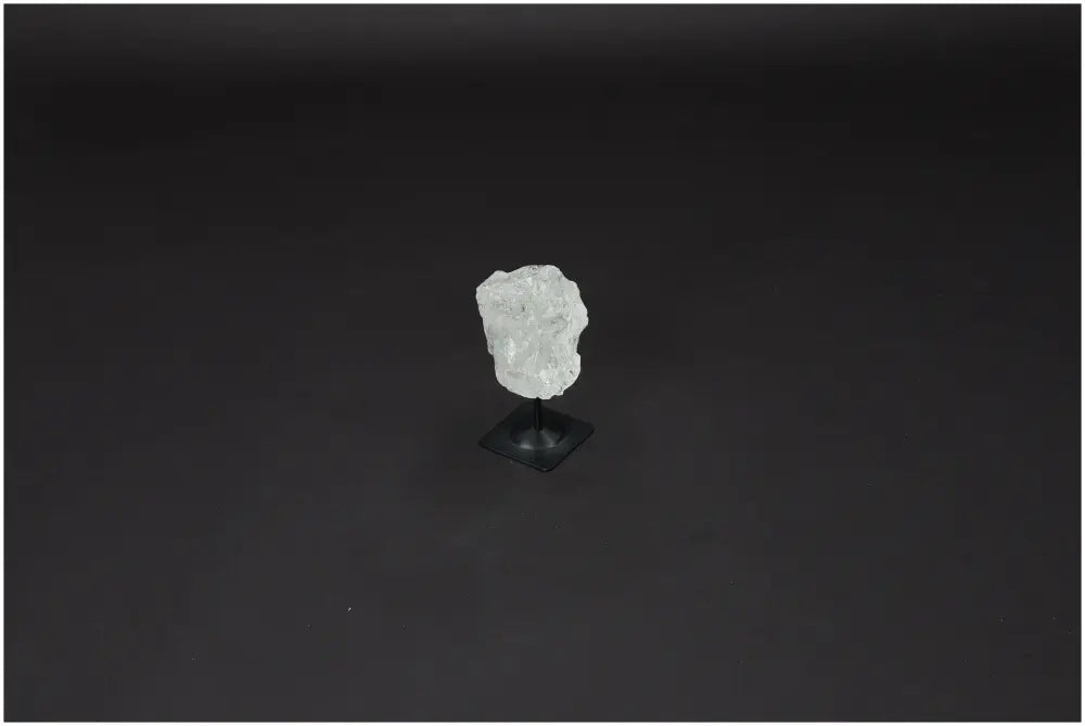 orbitvu|type:image2d