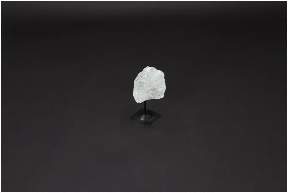 orbitvu|type:image2d