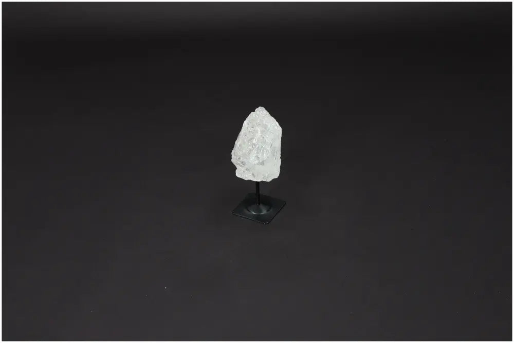 orbitvu|type:image2d