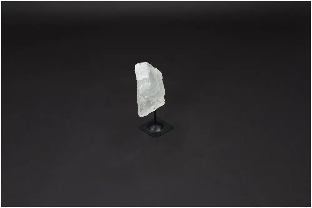 orbitvu|type:image2d