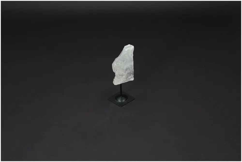 orbitvu|type:image2d