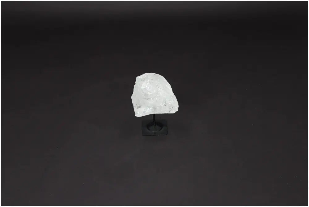 orbitvu|type:image2d