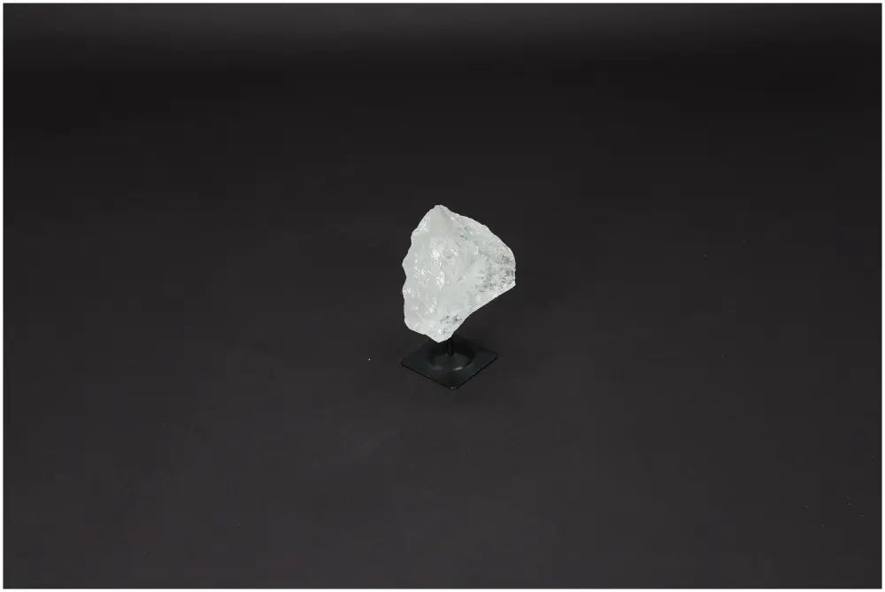 orbitvu|type:image2d