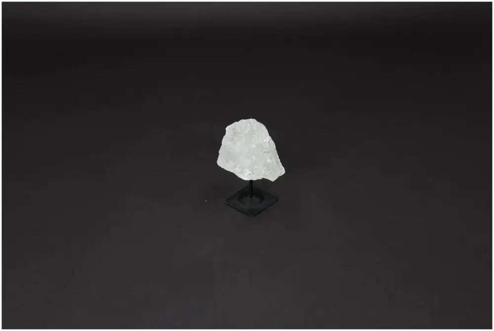 orbitvu|type:image2d