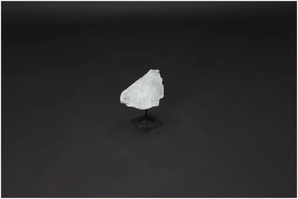 orbitvu|type:image2d