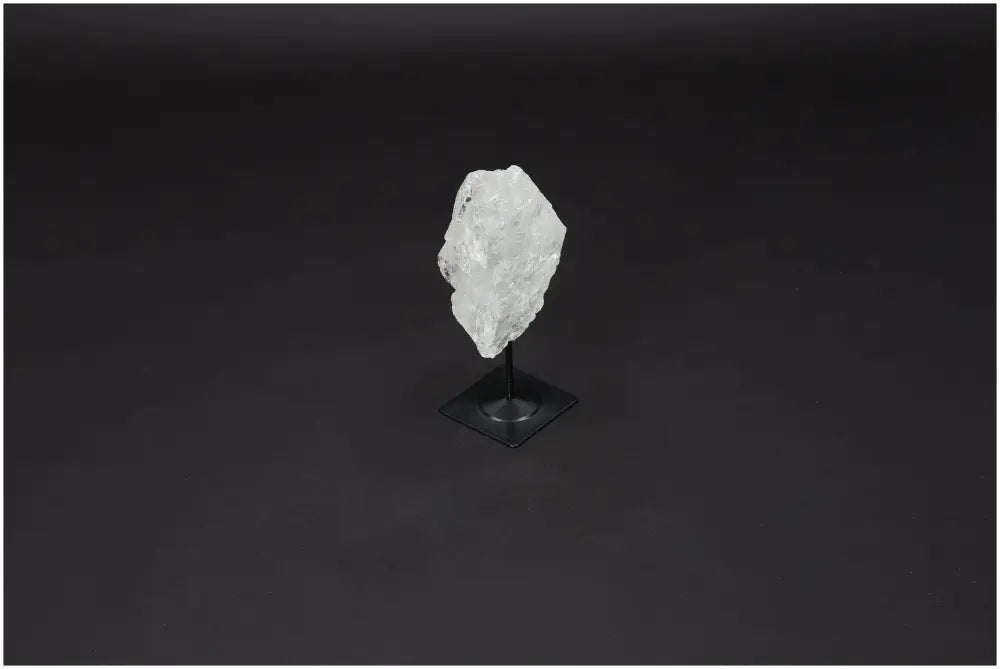 orbitvu|type:image2d