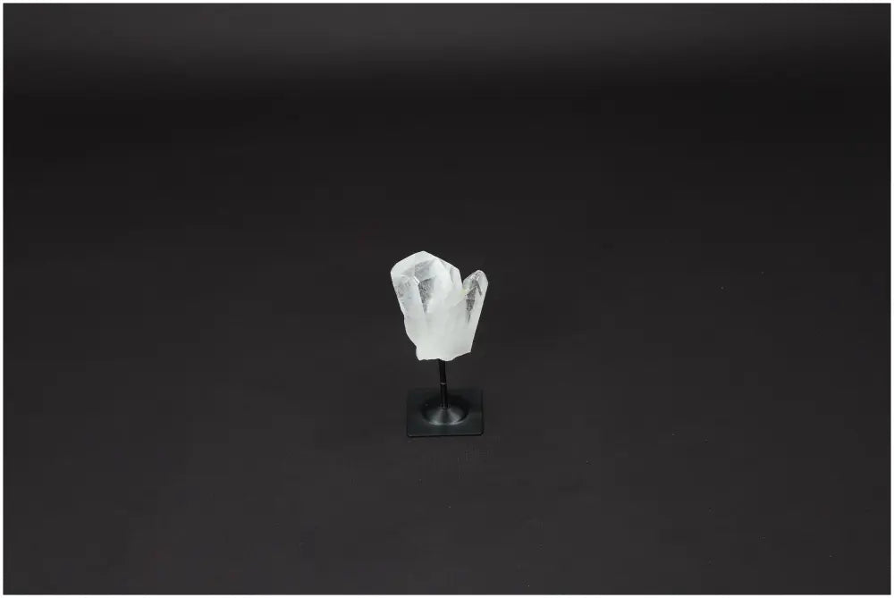 Lemurian Quartz on metal stand against dark background, ideal for purification and neutralizing electromagnetic radiation.