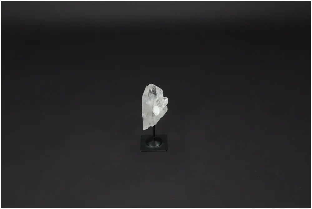 Lemurian Clear Quartz on a metal stand against a dark background, known for purification and neutralizing negative energy.