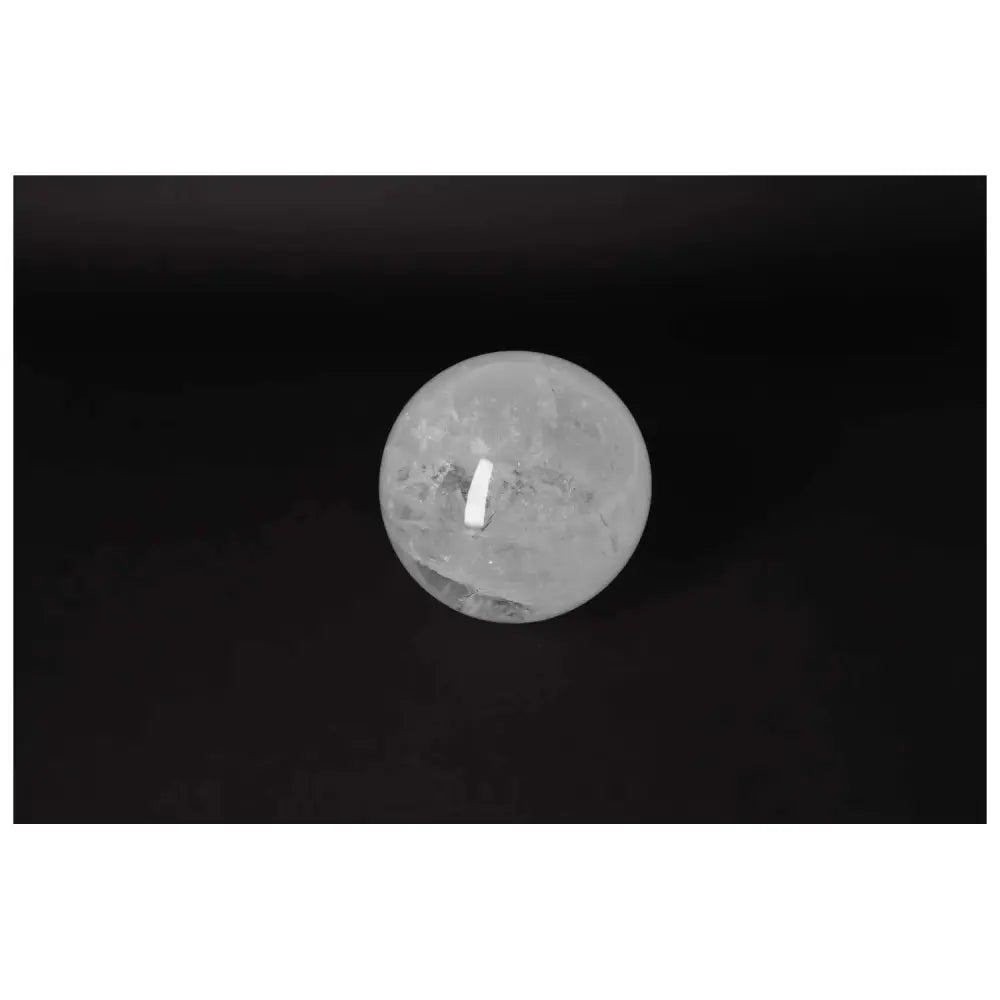 orbitvu|type:image2d