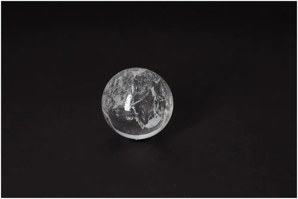 orbitvu|type:image2d