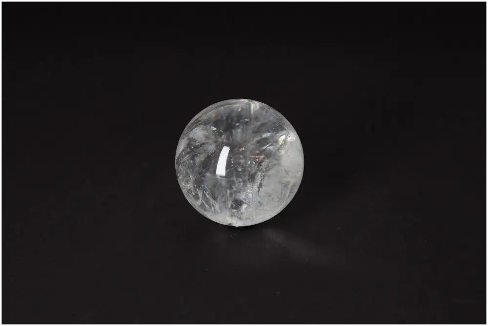 orbitvu|type:image2d