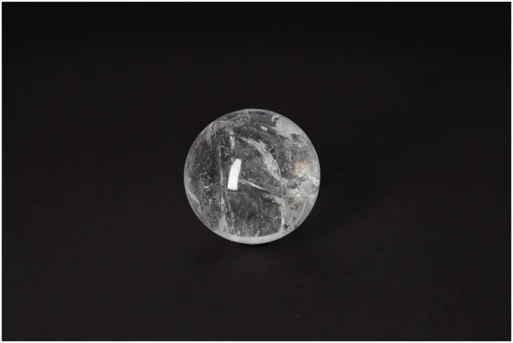 orbitvu|type:image2d