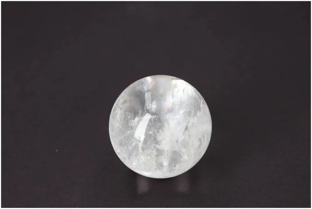 orbitvu|type:image2d