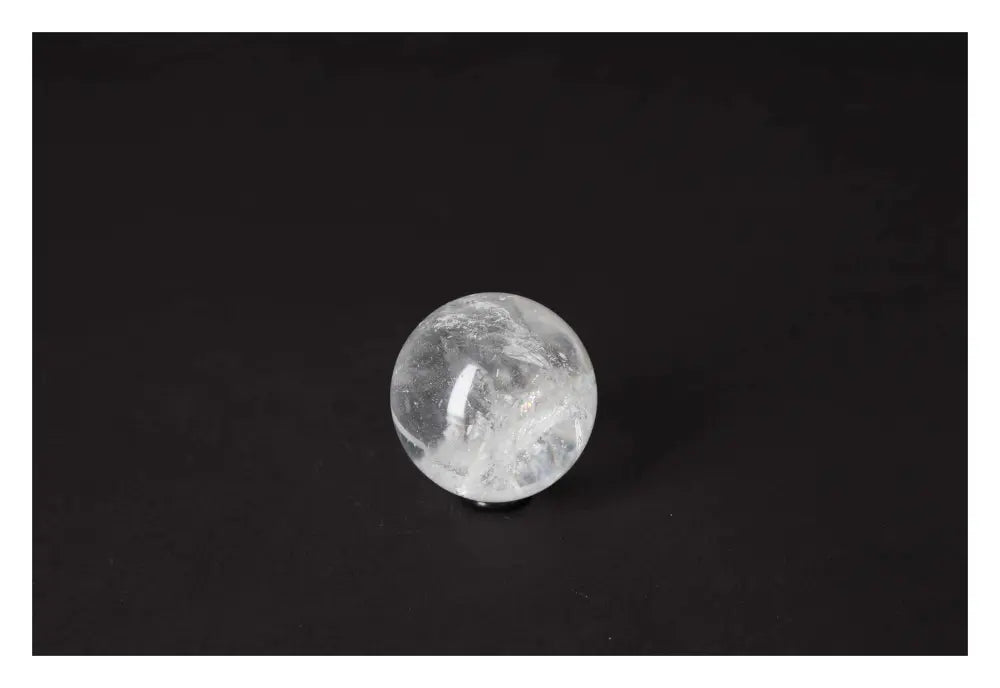 orbitvu|type:image2d