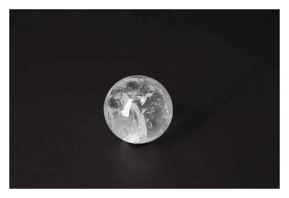 orbitvu|type:image2d