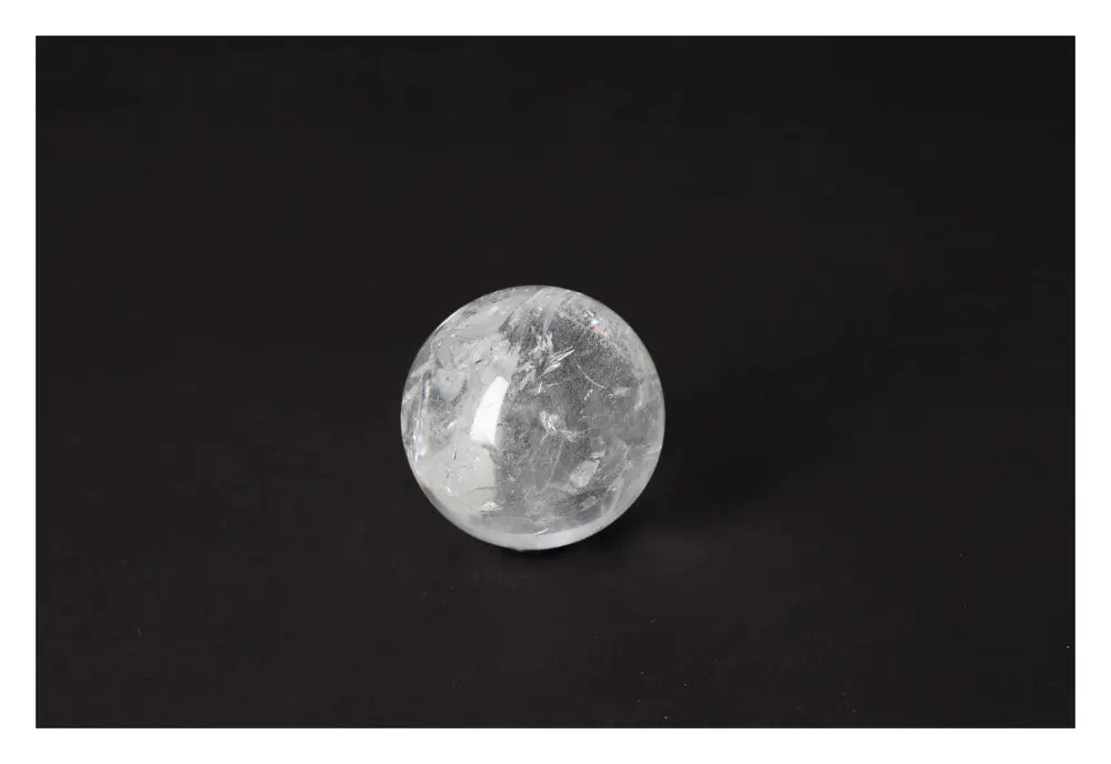 orbitvu|type:image2d