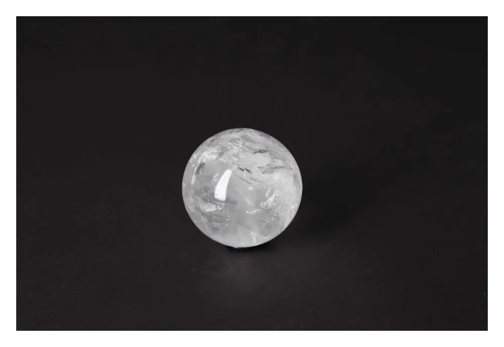 orbitvu|type:image2d