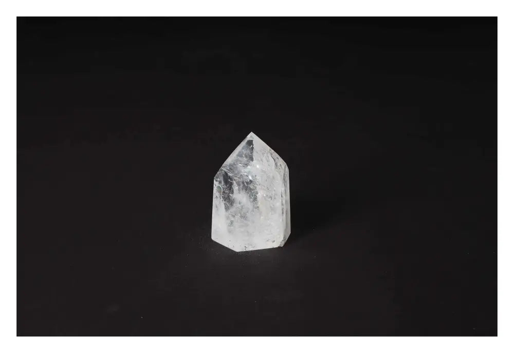 orbitvu|type:image2d