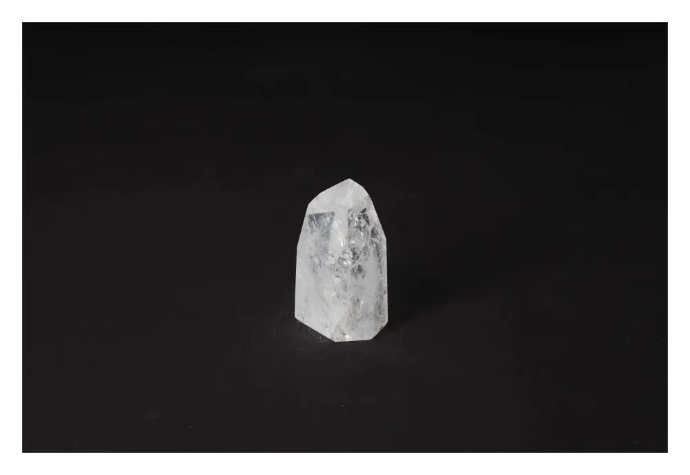 orbitvu|type:image2d