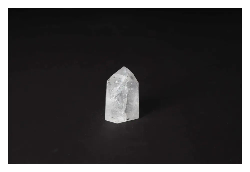 orbitvu|type:image2d