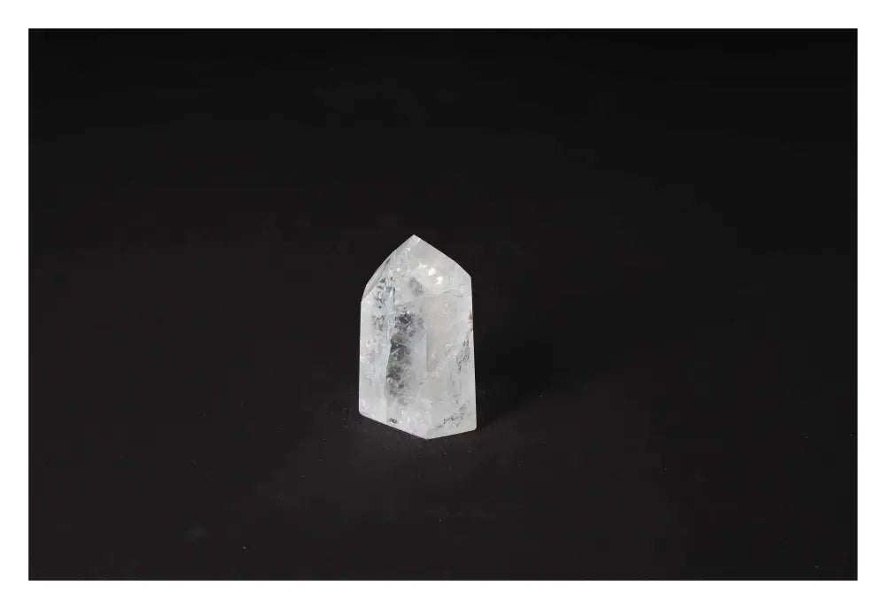 orbitvu|type:image2d