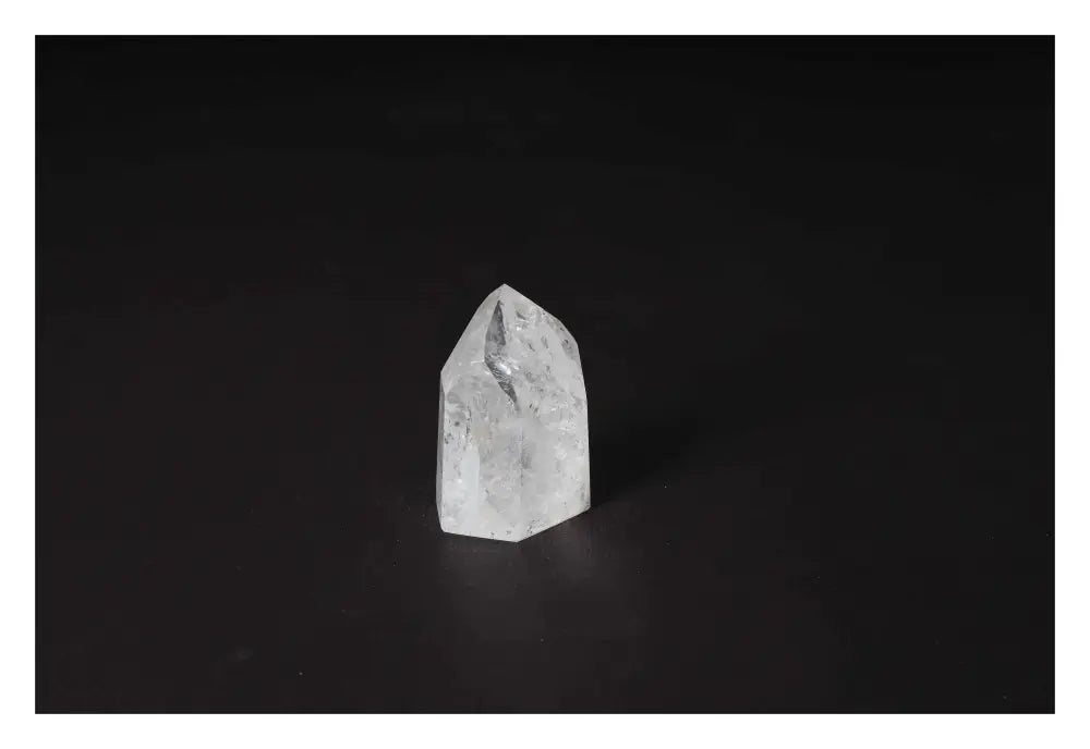 orbitvu|type:image2d