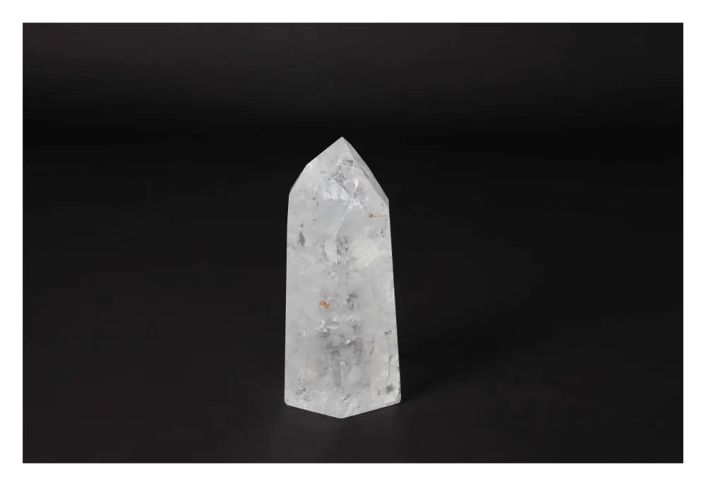 orbitvu|type:image2d