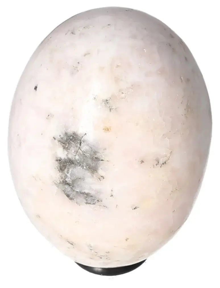 orbitvu|type:image2d