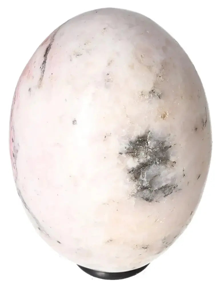 orbitvu|type:image2d