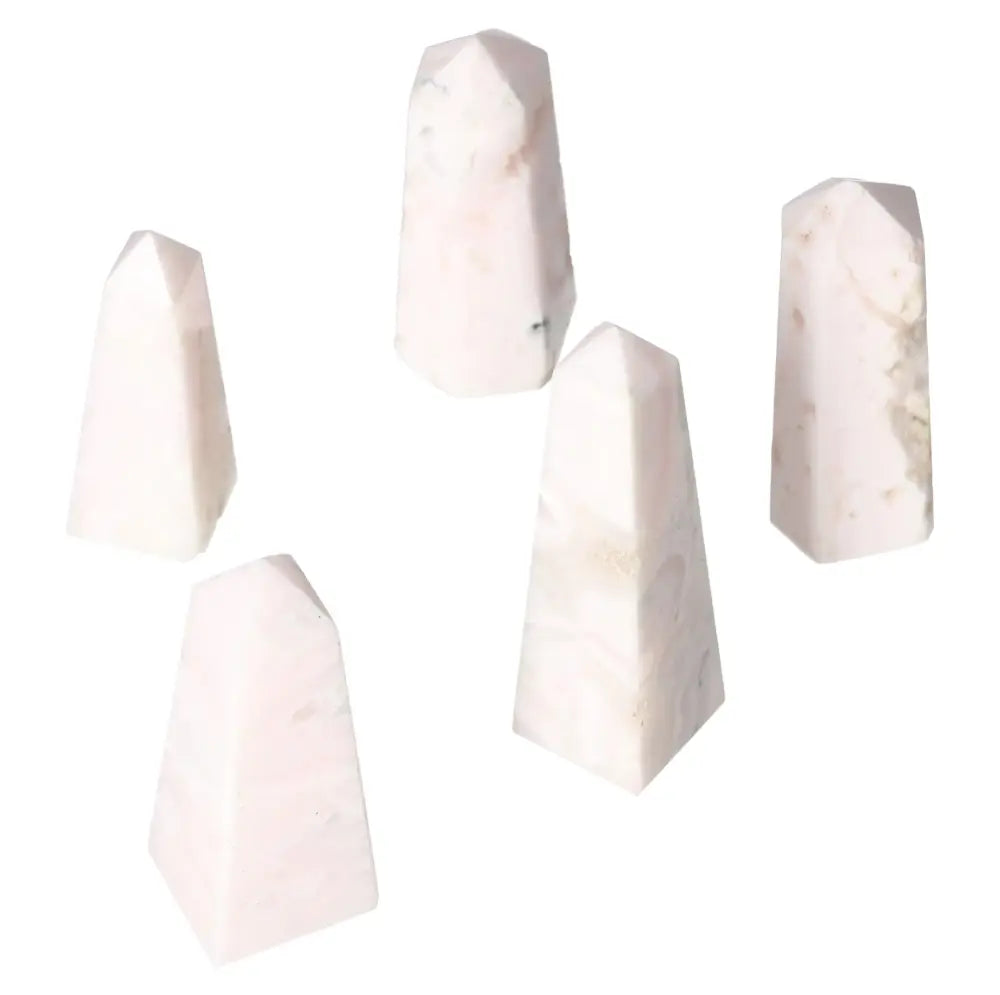 orbitvu|type:image2d