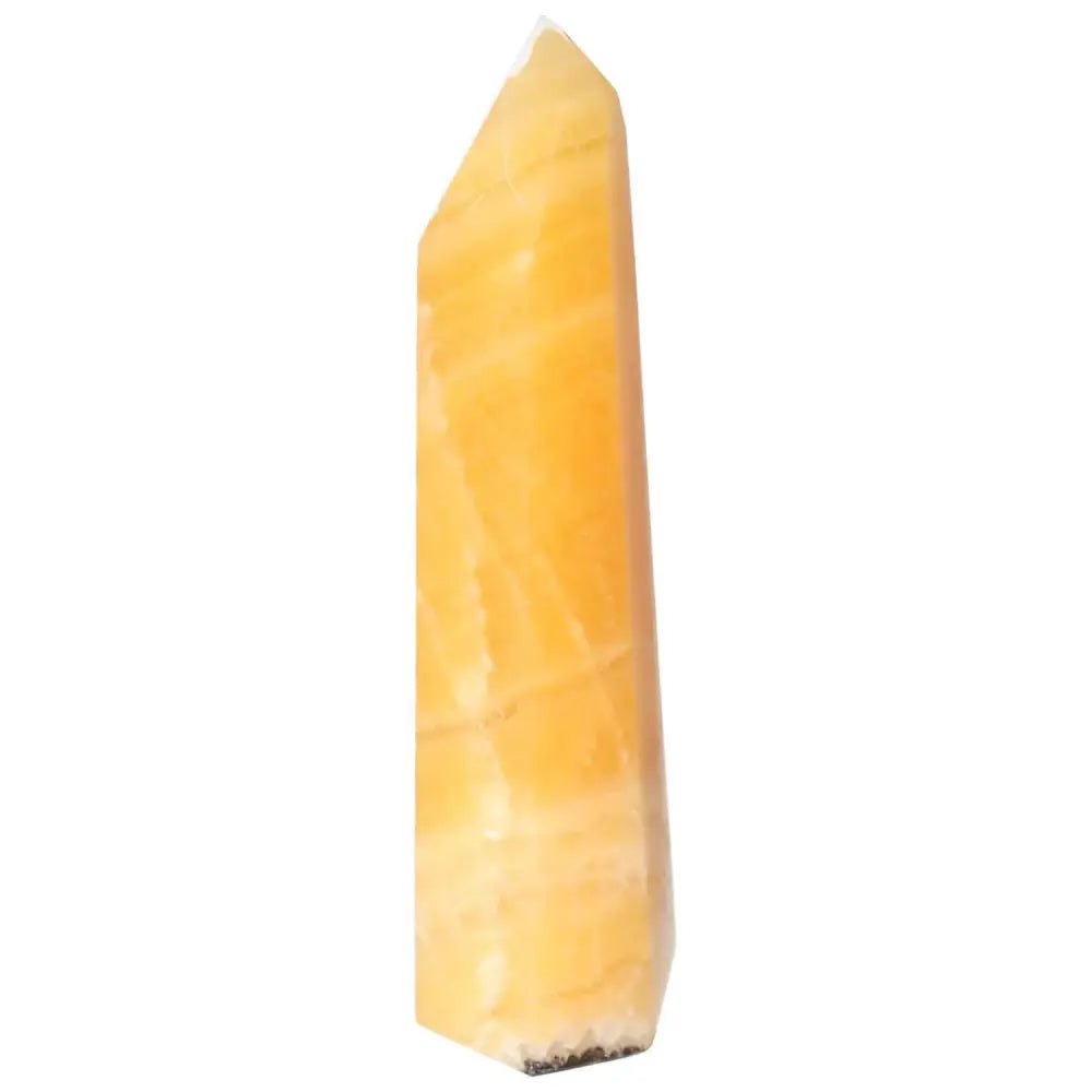 orbitvu|type:image2d