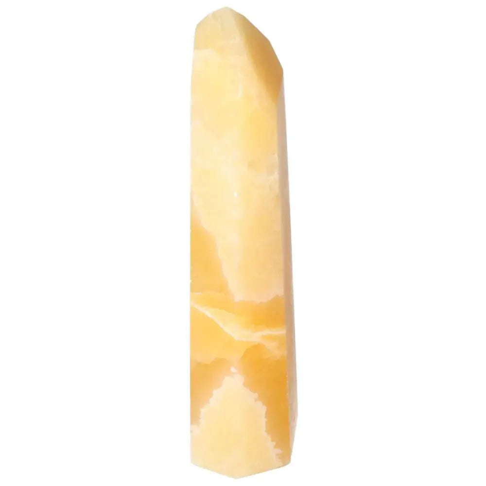 orbitvu|type:image2d